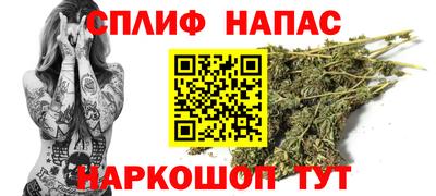 ешки Будённовск