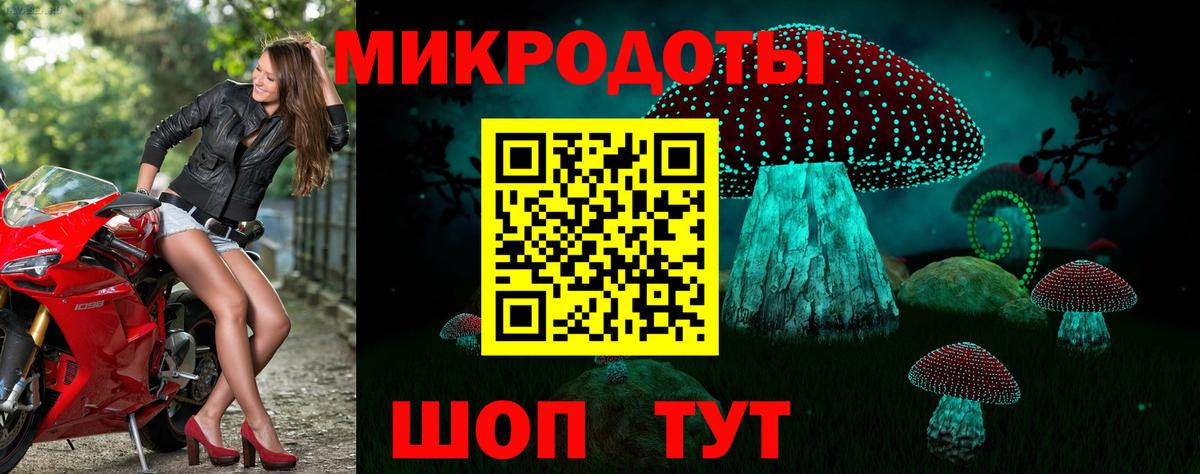Тейково  Псилоцибиновые грибы MAGIC MUSHROOMS  Вход с VPN  Галлюциногенные грибы GOLDEN TEACHER 